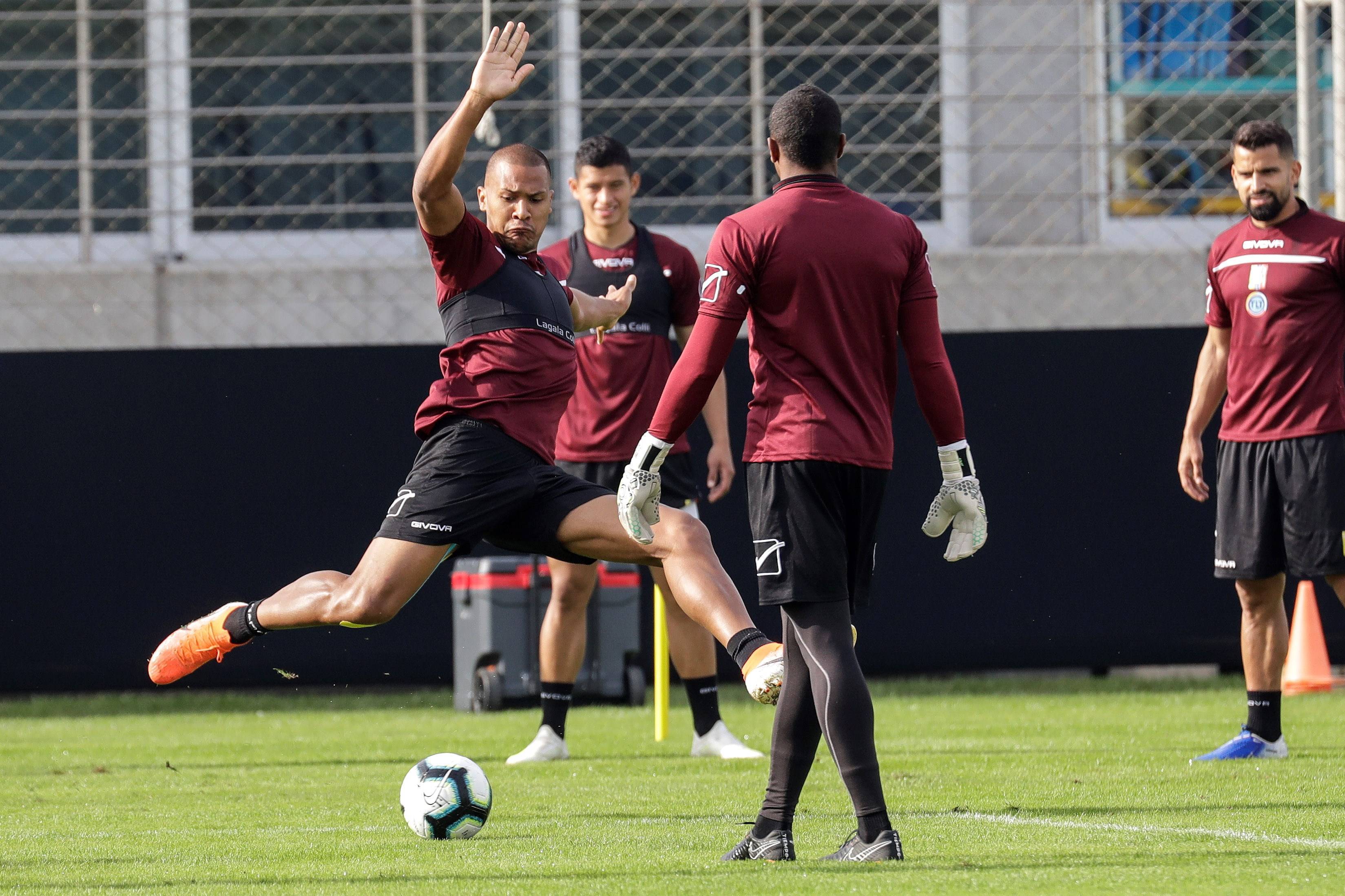 关于厄瓜多尔队在国际足球赛中取得令人瞩目成绩的信息