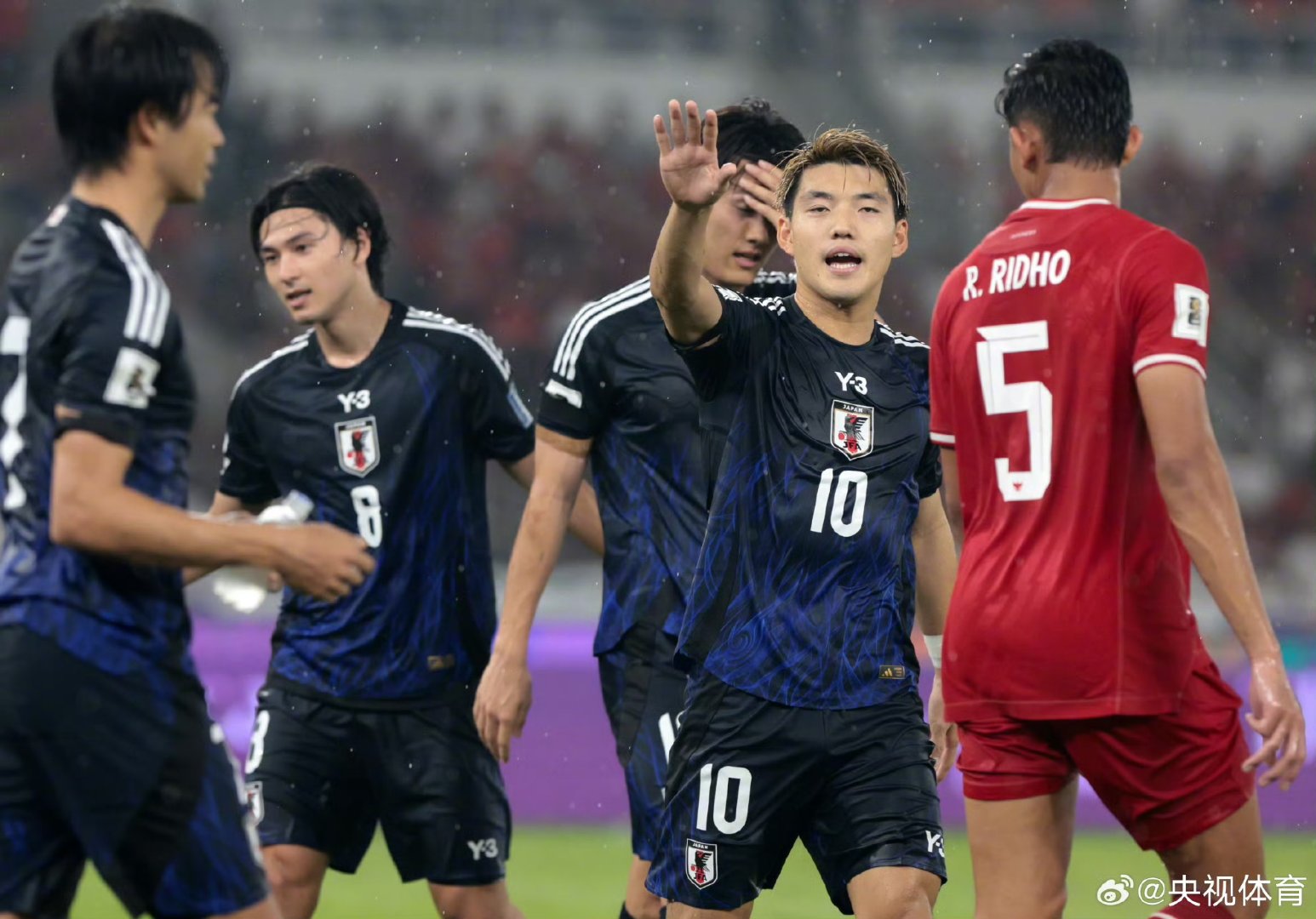 日本队力克印尼队，戴资颖关键制胜的简单介绍