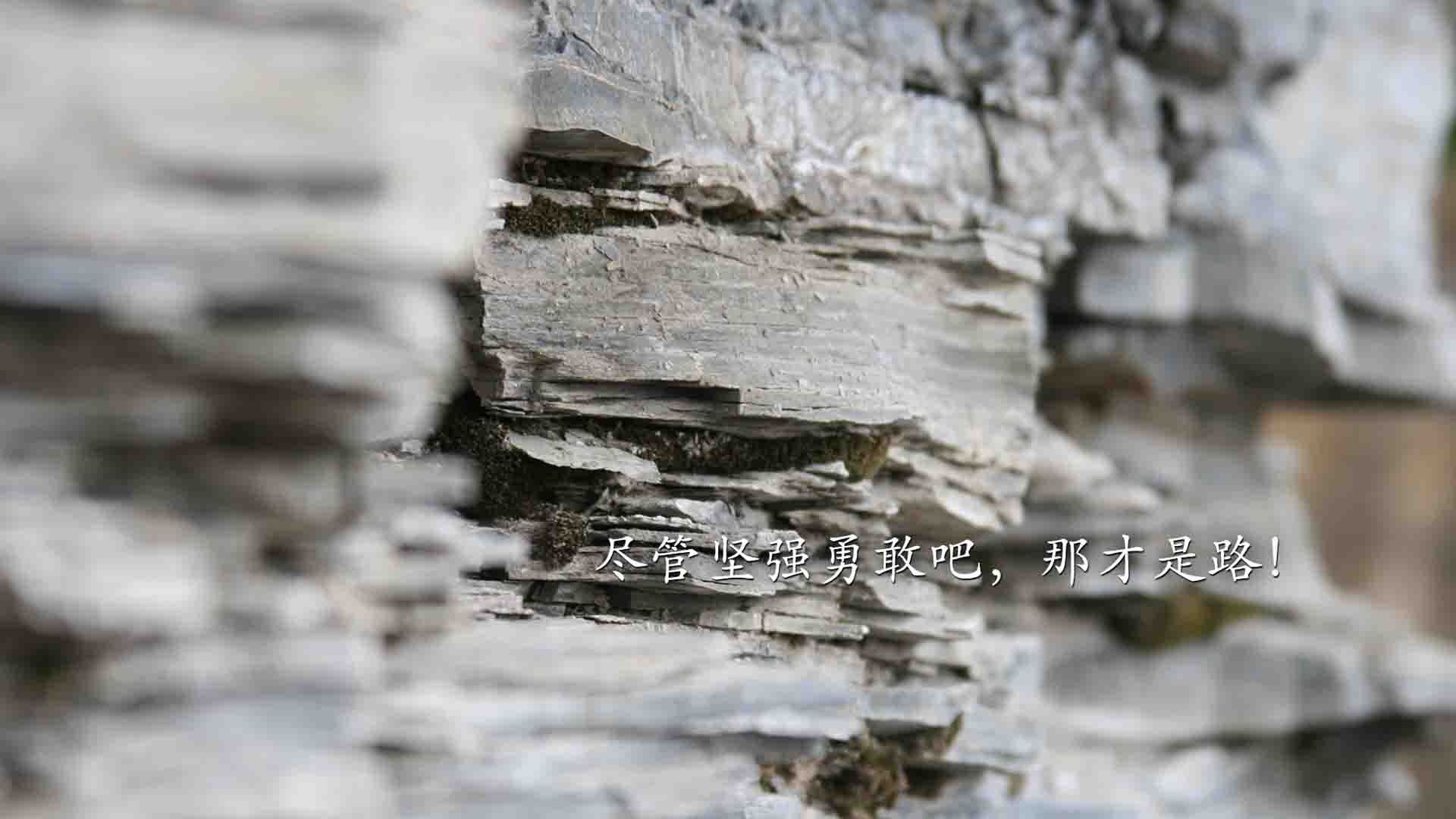 年度焦点之战之夜，东契奇压力下完成史诗级爆发