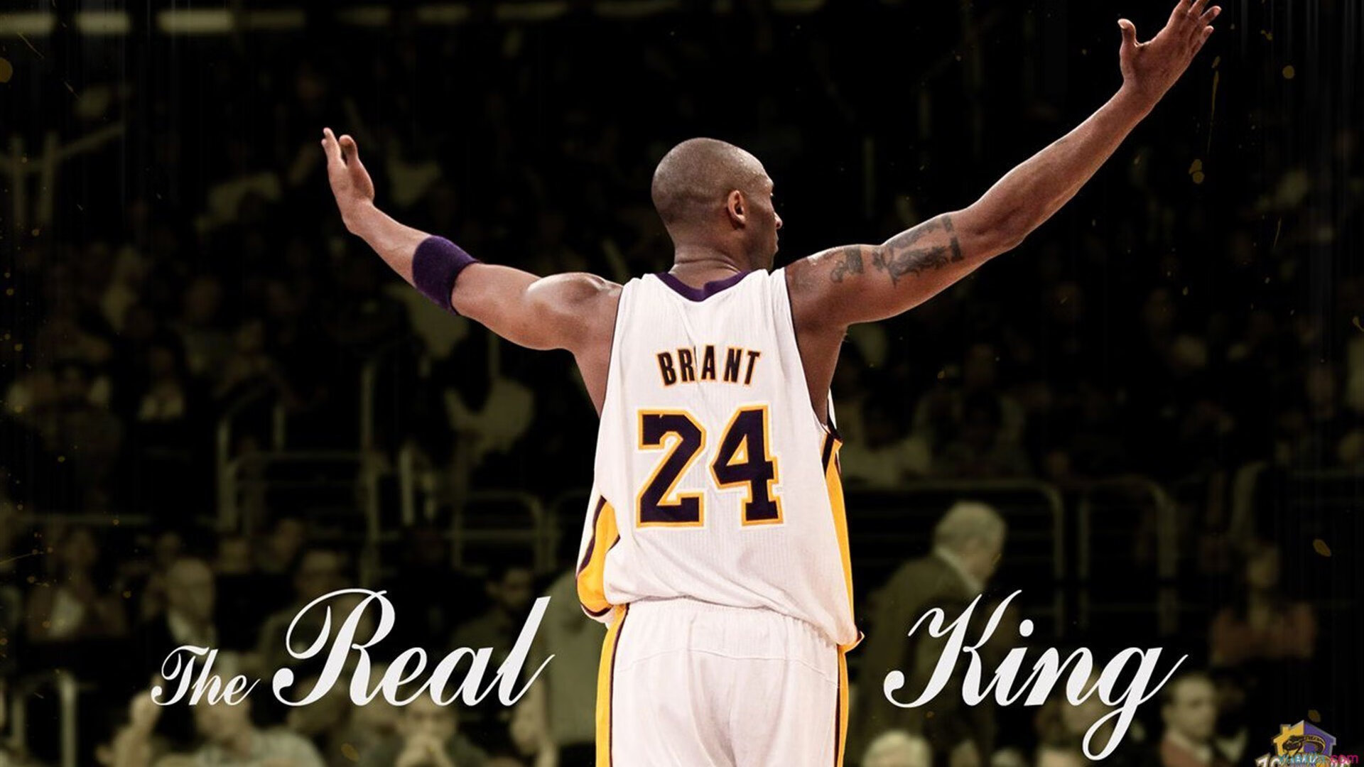 当灰熊的利爪遇上骑士的盾牌，范弗利特如何用唯一的方式统治攻防两端