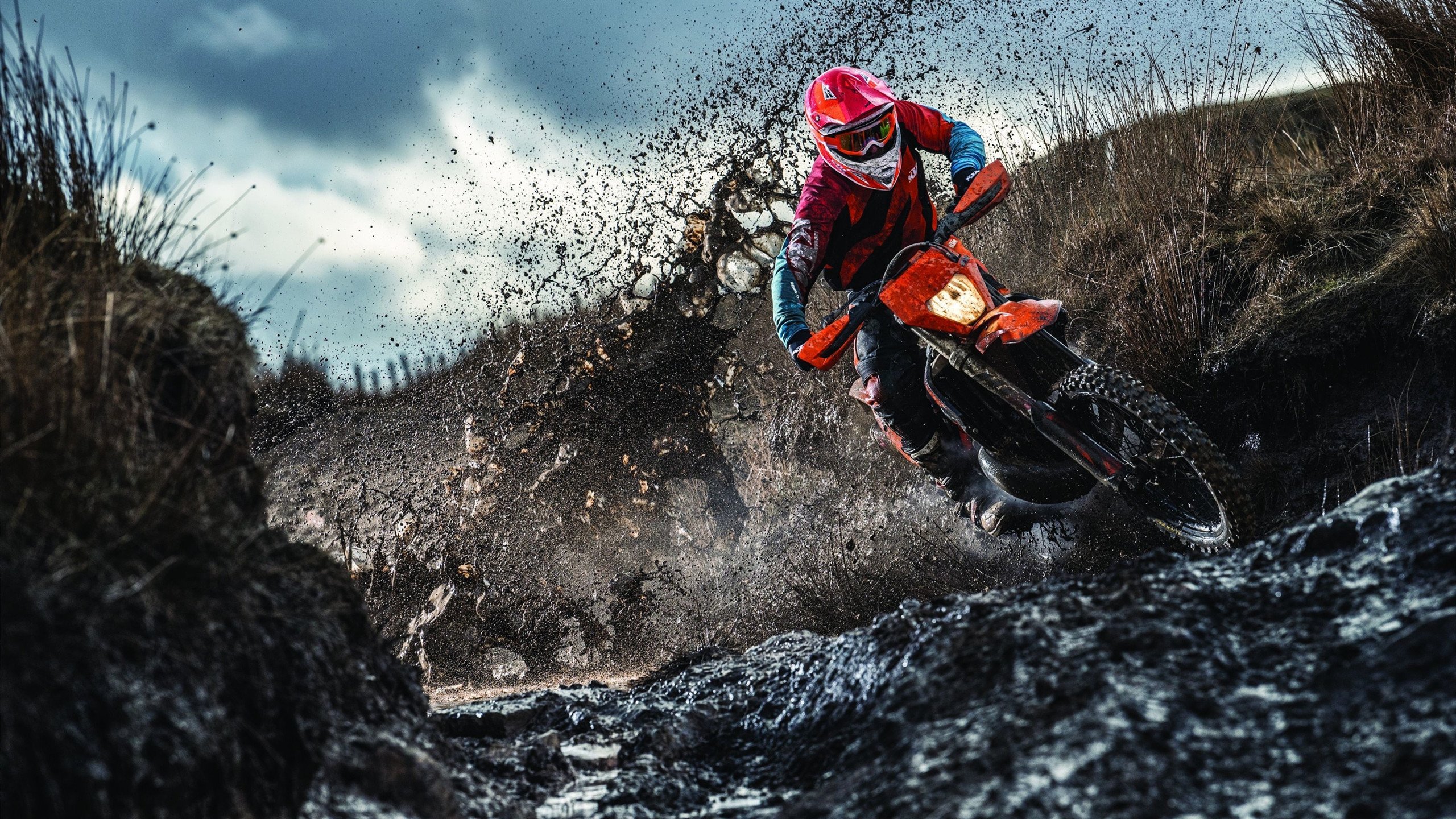 奥运周期关键战焦点战，德国男篮爆冷法国，改写欧洲篮球格局