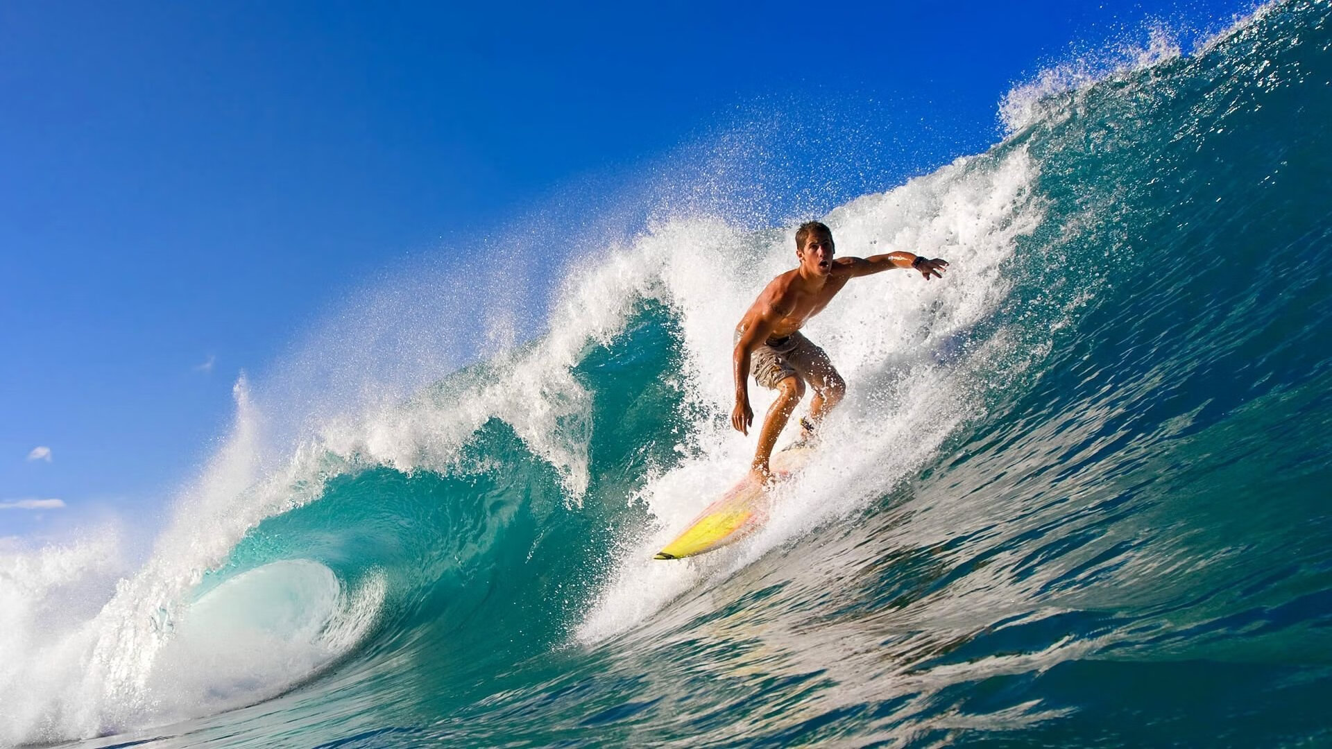 霍勒迪完成自我救赎，猛龙单节拉开魔术